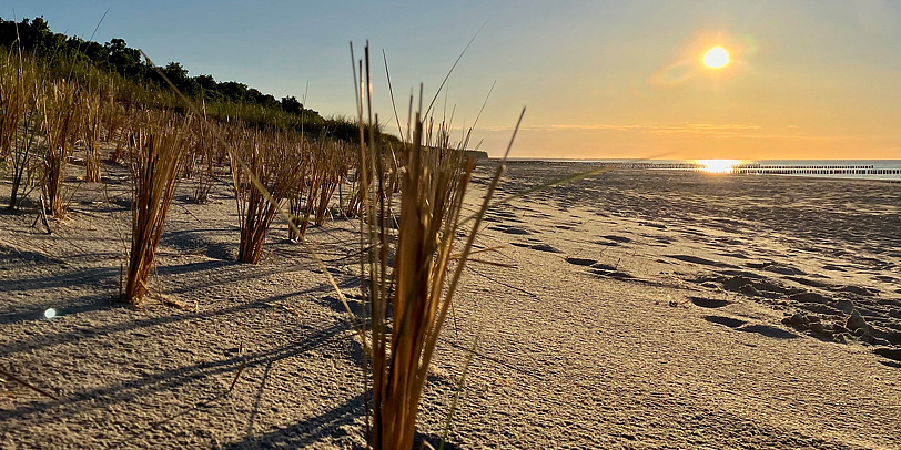 &copy; 2024 manuela bickel & ralf bickel