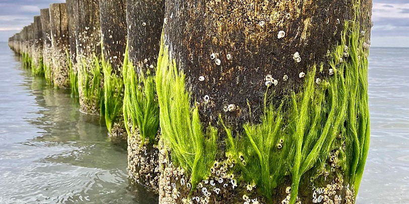 &copy; 2024 manuela bickel & ralf bickel